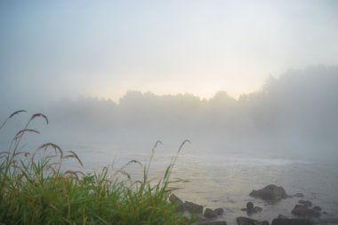 görüntü doğa serisi