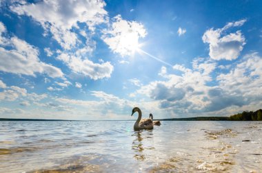 görüntü doğa serisi