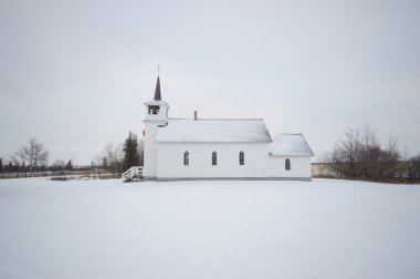 görüntü doğa serisi