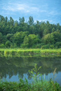 görüntü doğa serisi