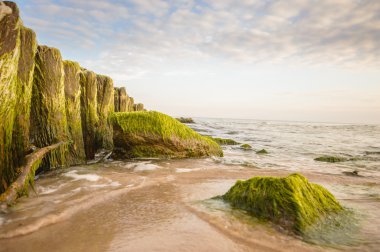 görüntü doğa serisi