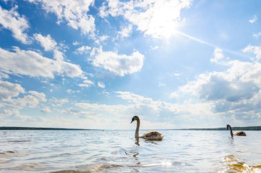 görüntü doğa serisi
