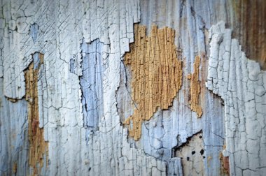 görüntü endüstriyel serisi