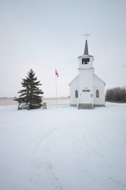 görüntü doğa serisi