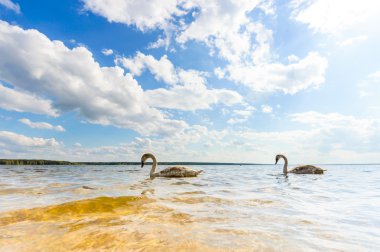  görüntü doğa serisi