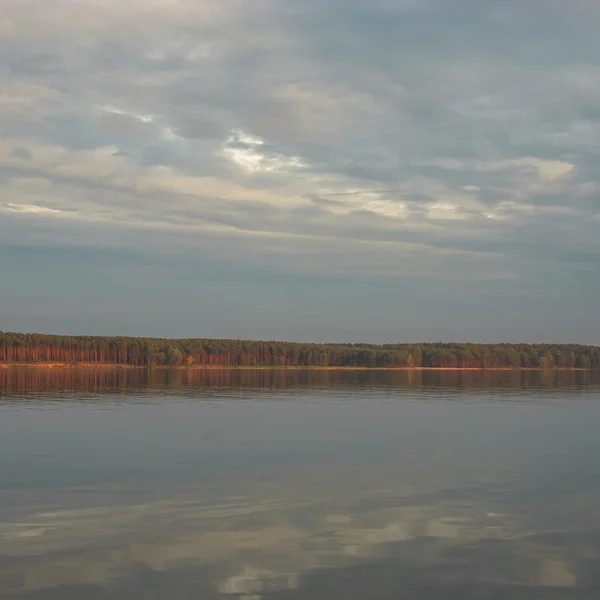 Зображення з серії природи — стокове фото