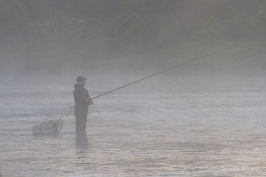 görüntü doğa serisi