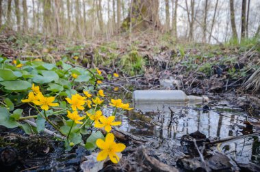 görüntü doğa serisi
