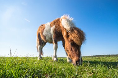 görüntü doğa serisi