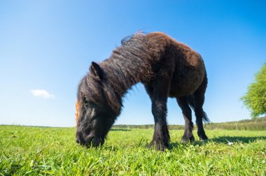 görüntü doğa serisi