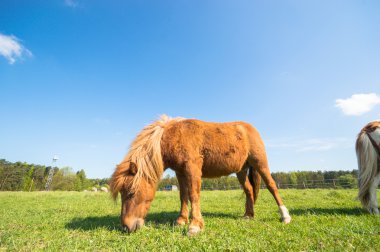 görüntü doğa serisi