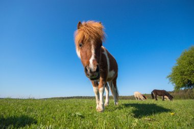 görüntü doğa serisi