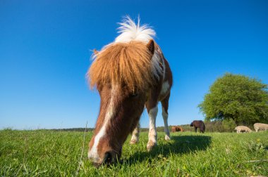 görüntü doğa serisi