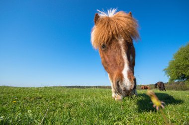 görüntü doğa serisi