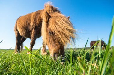 görüntü doğa serisi