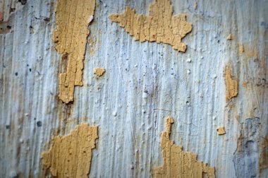 görüntü doğa serisi