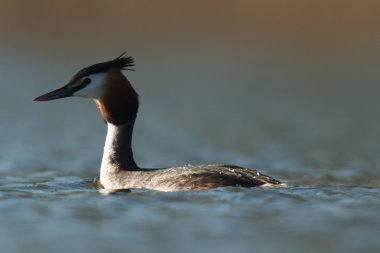 görüntü doğa serisi