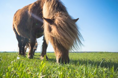 görüntü doğa serisi