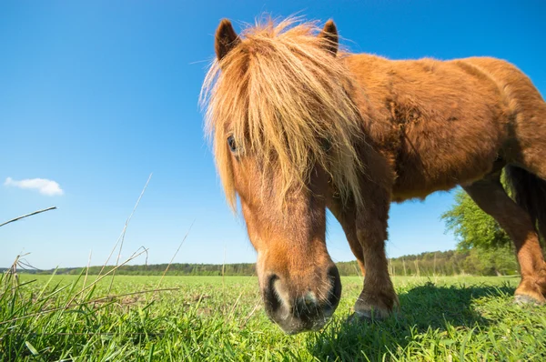 görüntü doğa serisi