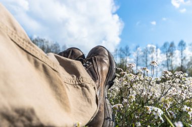Renkli bir arkaplan olarak çiçekler, makro fotoğraf, doğa serisi