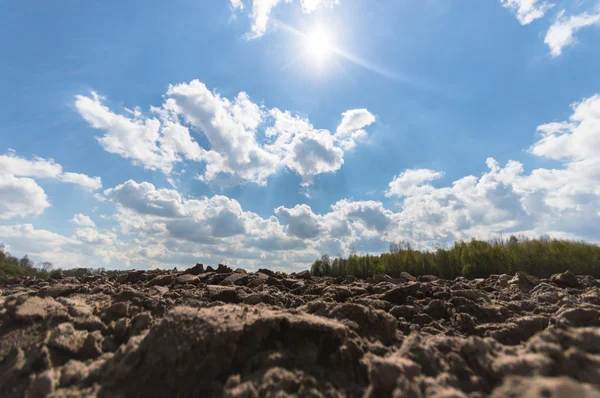 Agricultural Field Nature Agriculture Farming Series — Stock Photo, Image