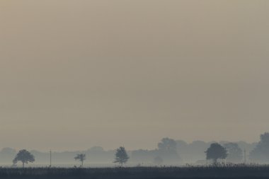 Mavi gökyüzü, doğal bulutlar, doğa serisi