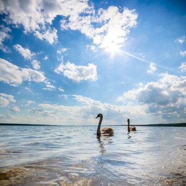 Mavi gökyüzü, doğal bulutlar, doğa serisi