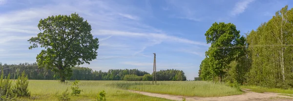 Verde Naturale Colorato Prato Rurale Serie Natura — Foto Stock