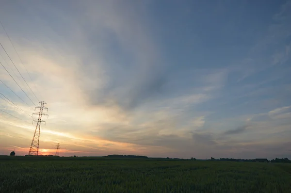 Přírodní Zelené Barevné Venkovské Louka Série Nature — Stock fotografie