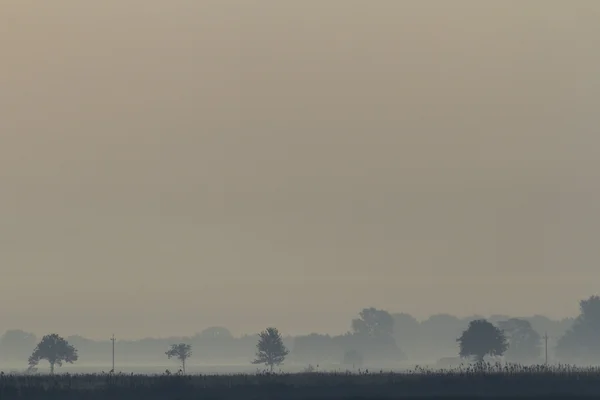 Cielo Blu Nuvole Naturali Serie Natura — Foto Stock