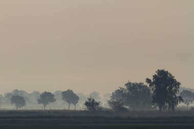 Mavi gökyüzü, doğal bulutlar, doğa serisi