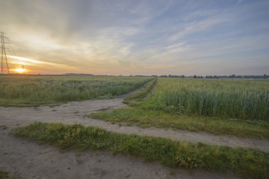 doğal yeşil renkli kırsal çayır, doğa serisi