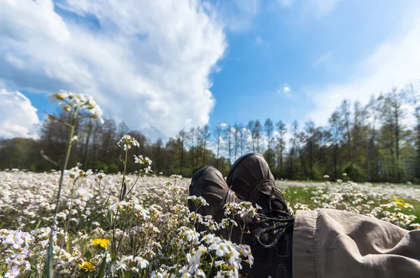 Natuurlijke Groene Kleurrijke Landelijke Weide Natuur Serie — Stockfoto