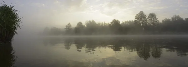 Paesaggio Con Fiume Naturale Serie Natura — Foto Stock