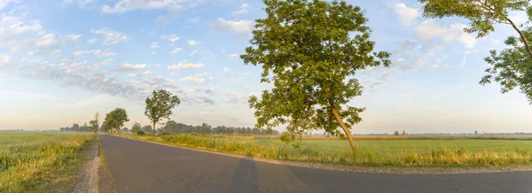 Strada Campagna Che Porta Alla Linea Dell Orizzonte Serie Natura — Foto Stock