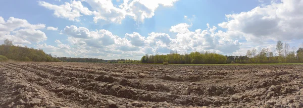 Campi Agricoli Natura Agricoltura Serie Agricole — Foto Stock