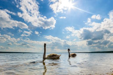 Mavi gökyüzü, doğal bulutlar, doğa serisi
