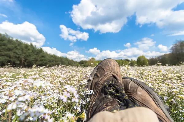 Renkli Bir Arkaplan Olarak Çiçekler Makro Fotoğraf Doğa Serisi — Stok fotoğraf