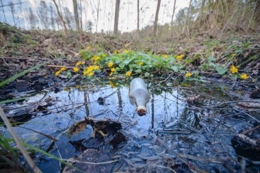 çiçekler gibi bir renkli arka plan, çöp, kirlilik, çevre, Doğa Serisi