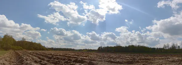 Campo Agrícola Naturaleza Agricultura Serie Agrícola — Foto de Stock