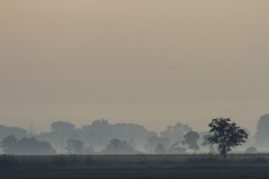 Mavi gökyüzü, doğal bulutlar, doğa serisi