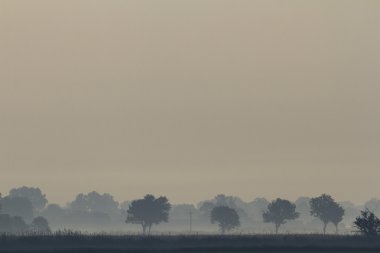 Mavi gökyüzü, doğal bulutlar, doğa serisi