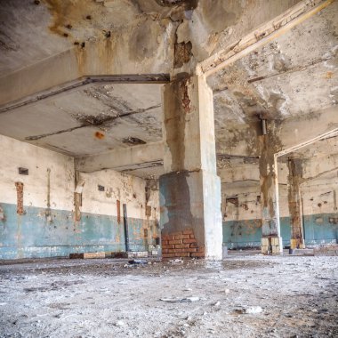 görüntü doğa serisi