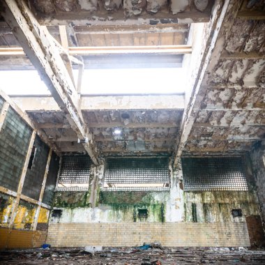 görüntü doğa serisi