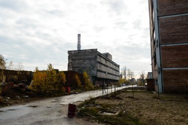 görüntü doğa serisi