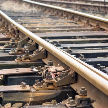 görüntü doğa serisi