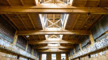 görüntü doğa serisi