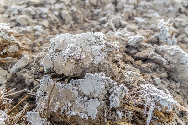 Naturbilder, Naturserien — Stockfoto