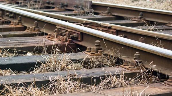 Bild från naturen-serien — Stockfoto