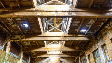 görüntü endüstriyel serisi